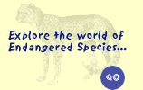 Explore the World of Endangered Species